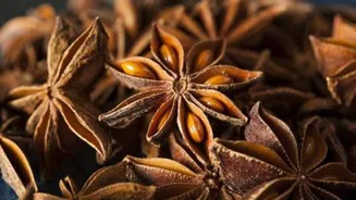 Aniseed: The flavor hero your recipes need