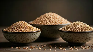 Better Grains Are The New Health Flex