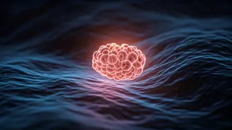 Gut Health Becomes A Top Wellness Priority