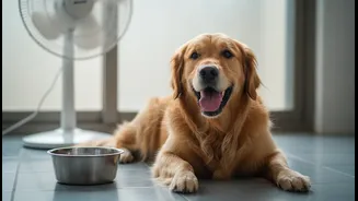 Veterinary Warnings about Indoor Heatstroke: The Indian Reader Angle Worth Saving