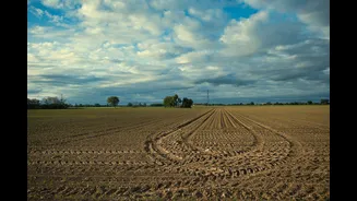 India records 13% monsoon deficit, raising concerns for rabi crops