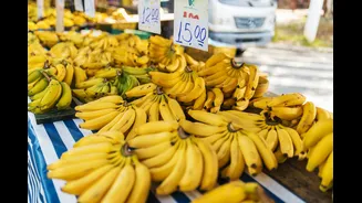 Banana Leaf and Rice Prices Surge in Tamil Nadu Amid Drought