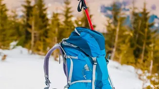 Best Scenic Winter Treks In India Featuring Gentle Gradients For Beginners