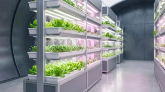 The Mars Food Question: How Could Humans Produce Fresh Crops Millions Of Kilometres Away?