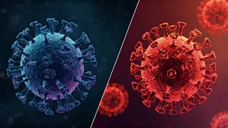 Hantavirus vs. COVID-19: Understanding the Risks and Differences in Danger