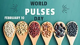 World Pulses Day 2026: Understand The Right Way To Cook Pulses