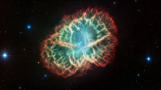 Betelgeuse and Crab Nebula: Cosmic Death and Rebirth