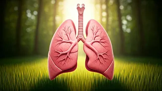 Air Pollution's Impact: Lung Damage and Homeopathic Solutions