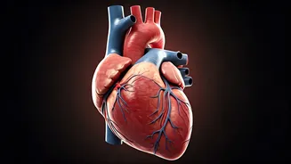 Are You Ignoring These 5 Health Symptoms?
