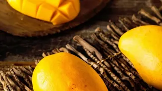 Air Shipment Puts Karnataka's Late Mango Harvest on the Export Map