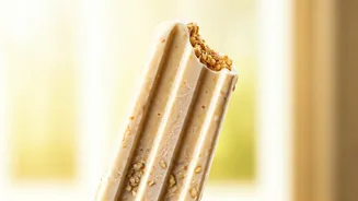 Why You Need Frozen Oats Ice Cream Bars This Summer