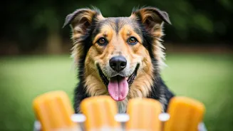 Calm Stressed Summer Dogs With Frozen Pumpkin Butter Pops