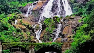 Essential Travel Tips For Mandovi Express Monsoon Railway Waterfall Trips