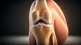 Unlock Your Mobility: Mastering Passive Range of Motion for Better Joint Health