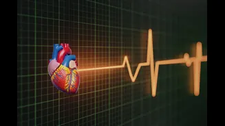 Heart Disease Warning: This New Blood Test May Be More Accurate Than Cholesterol