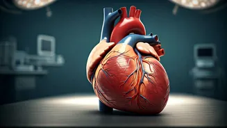 Nobel Prizes in Medicine: A Quiz and History