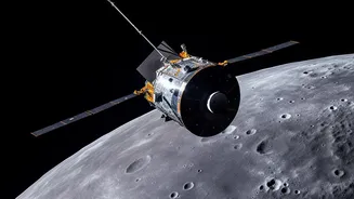 Why Lunar South-Pole Cold Traps May Preserve Human-Borne Microbes