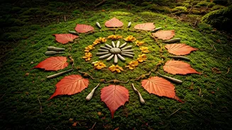 Nature Mandalas: Crafting Mindfulness Through Earth's Artistry