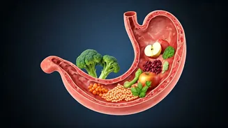Are These Foods Destroying Your Gut Health?