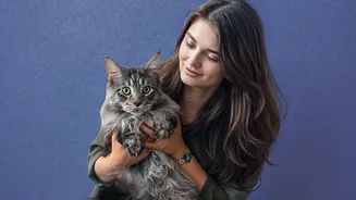 International Cat Day Is a Prompt for an Apartment Safety Audit
