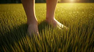 Correct Your Spine Automatically By Walking Barefoot On Green Lawns