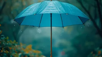 Quieter Monsoon Destinations Near Bengaluru Are Winning Over Weekend Explorers