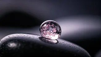 Related Stories banner