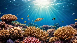 Andaman Waters Are Calling First-Time Adventure Travellers