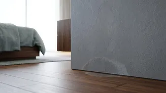 How To Check Your Rental Home For Post-Monsoon Dampness And Damage