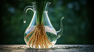 This Ancient Vetiver Water Secret Is Perfect For Heatwaves
