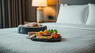 Furry Guests Are Getting Proper Hotel Attention