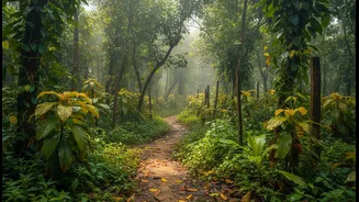 How To Plan An Offbeat Spice Plantation Journey Through Goa Serene Eco-Zones This July