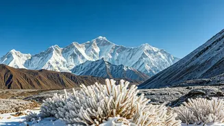 India's Winter Chill: Temperatures Dip, Preparations Rise