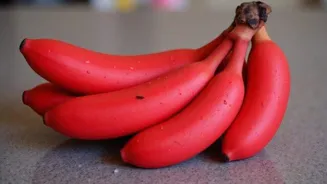 5 skincare benefits of red bananas