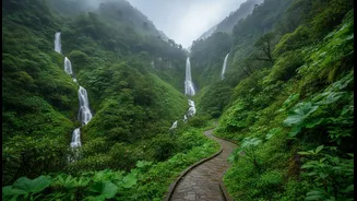 Best Places Near Delhi To Enjoy July Showers