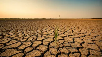Indian Farmers Urged Hold Sowing Until Heavy Plains Rain Arrives