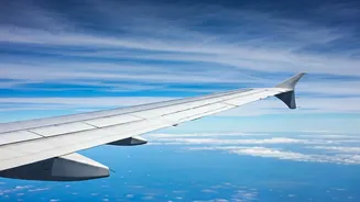 Aviation Stocks Dip: InterGlobe Aviation's Q3 Results Examined