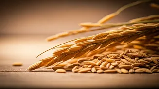 Rice Bran Is The Glow-Up Ingredient To Save
