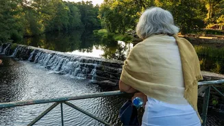 Estudo revela que cérebro e coração limitam a vida humana a 156 anos