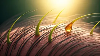 Ayurvedic Oil for Bald Patches: 30-Day Regrowth Journey & Scalp Revival