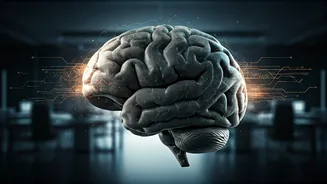 Open-Plan Offices Drain Your Brain: The Science Behind Increased Cognitive Load