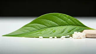 5 Foods to Sidestep for a Happier Gut: Dietitian Insights