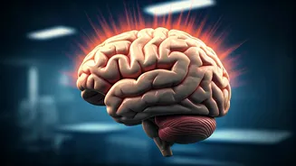 Subtle Seizure Signs: Don't Ignore 'Staring Spells' and Absent-Mindedness