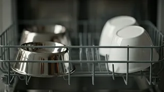 Dishwasher for Pet Bowls? The Ultimate Guide to Hygienic Feeding Stations