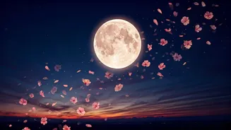 May 2026's Flower Moon: Timing, Meaning, and Embracing Spring's Full Bloom