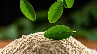 Related Stories banner