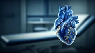 Heart Disease: Shocking Truth - It Begins at Age 3, Not 50!