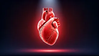 Heart Health Alert: Understanding Heart Attack Risks Starting in Your 30s