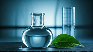 Related Stories banner