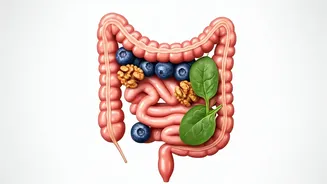 Harvard Expert Unveils 3 Daily Habits For Gut Health